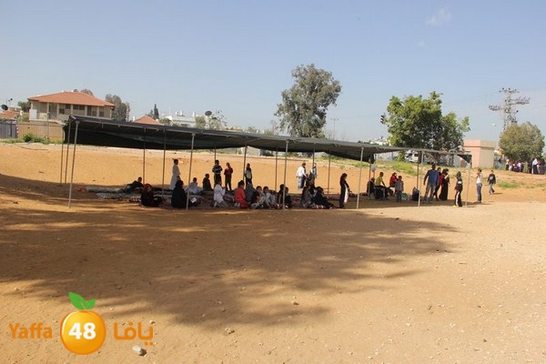 torath zahra20402 (19).JPG